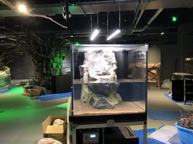 AQUART神戸文化施設棟水槽照明工事