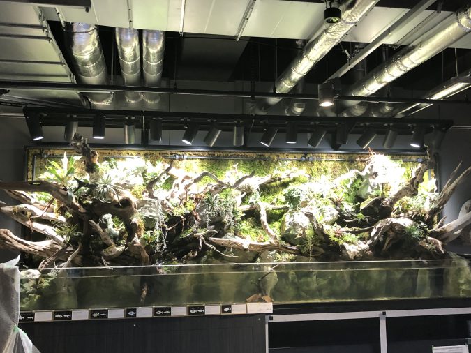 AQUART神戸文化施設棟水槽照明工事